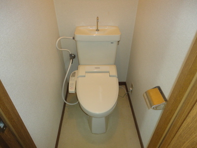 Toilet. Toilet