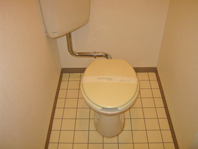 Toilet. Toilet