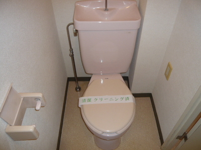 Toilet. Toilet