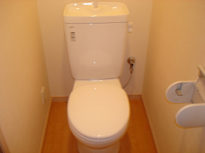 Toilet. Flush toilet!