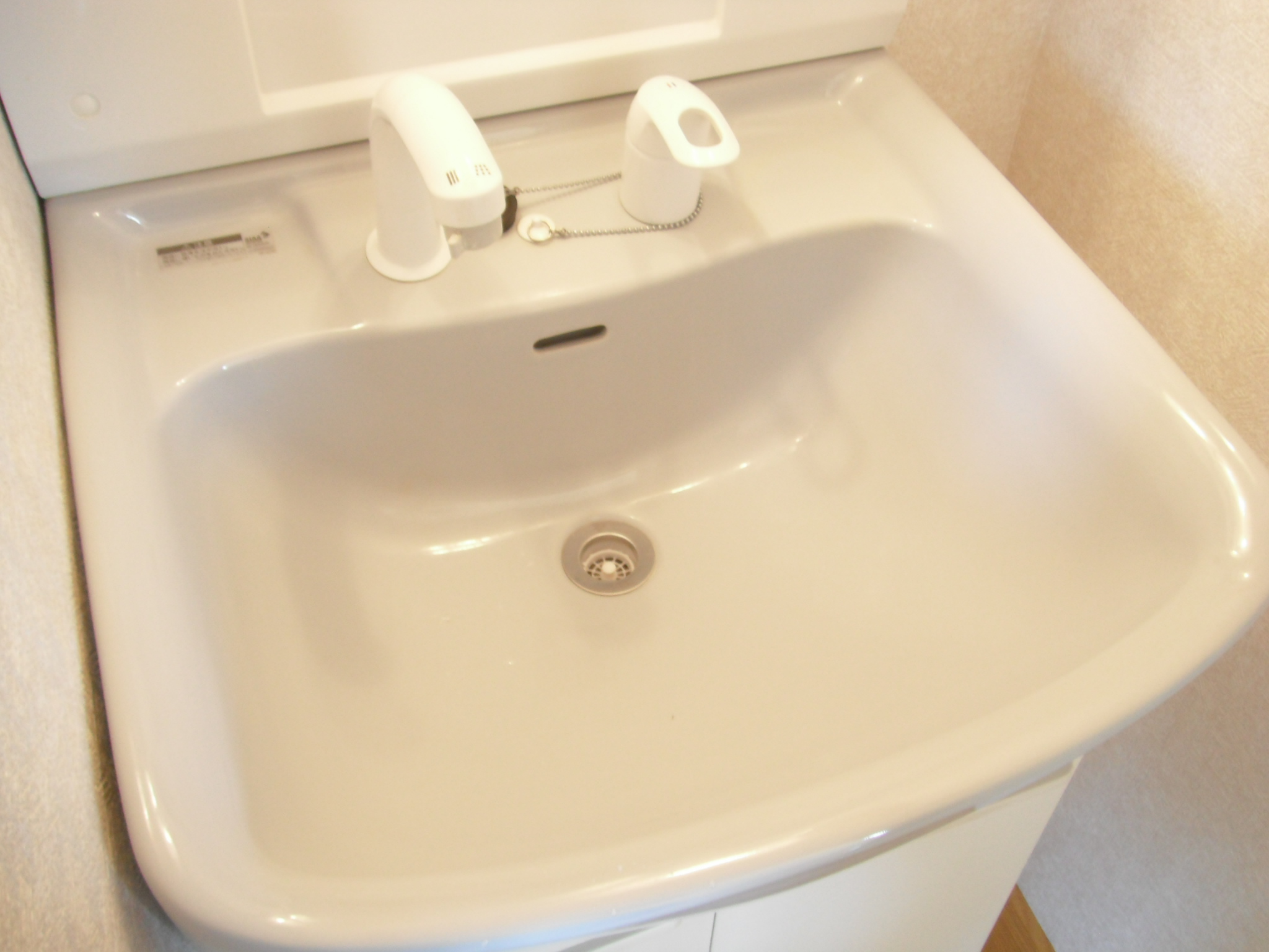 Washroom. Shampoo dresser