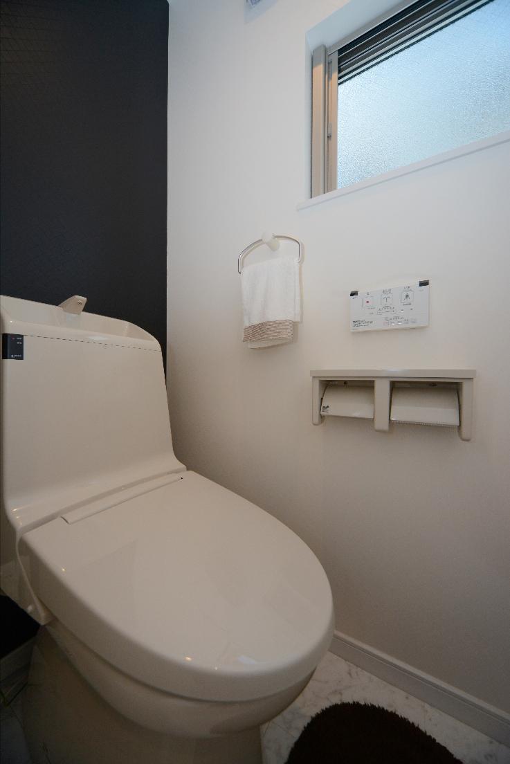 Toilet. Example of construction