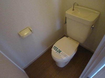 Toilet. Toilet (inverted in the room)