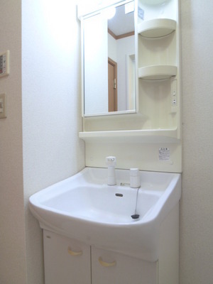 Washroom. Independent wash basin dressing room
