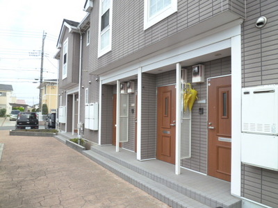 Entrance. Stylish Staircase type