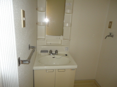 Washroom. Independent wash basin