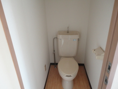 Toilet. Toilet