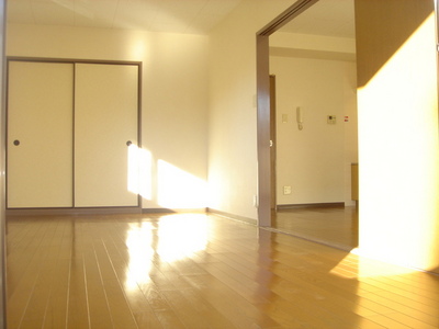 Living and room. Western style room ~ LDK