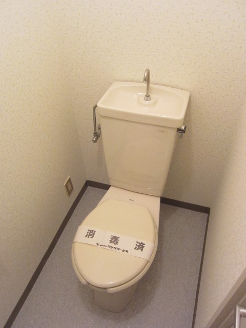 Toilet. Separate toilet