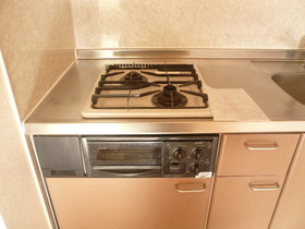 Kitchen. 2-neck is a gas stove (with grill)