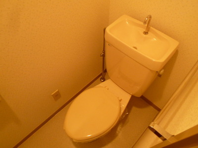 Toilet. Toilet