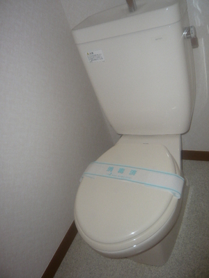 Toilet. Toilet