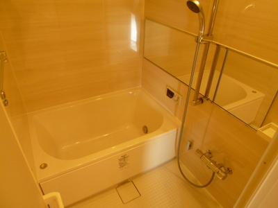 Bath. It established the reheating & Bathroom Dryer