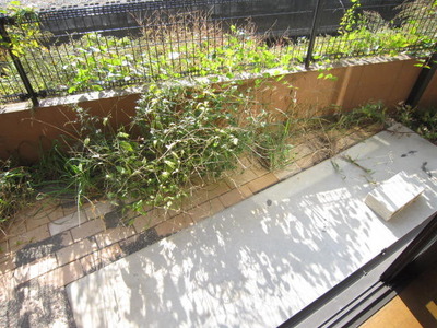 Garden. The first floor of the terrace