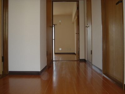 Entrance. One frame from the front door. Spacious entrance space.