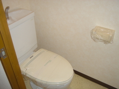 Toilet. Here we have a toilet.