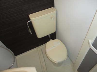 Toilet. Toilet