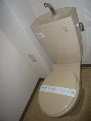 Toilet. Toilet