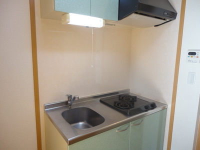 Kitchen. The kitchen is 2 lot gas stoves Installed!