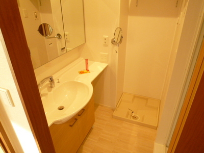 Washroom. Like a large vanity hotels