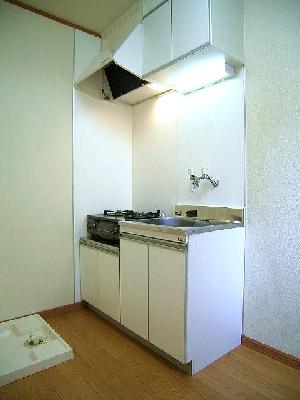 Kitchen. Kitchen with in-room washing machine storage