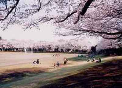 park. Showa park until the (park) 429m