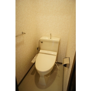 Toilet. Toilet with hot cleaning function