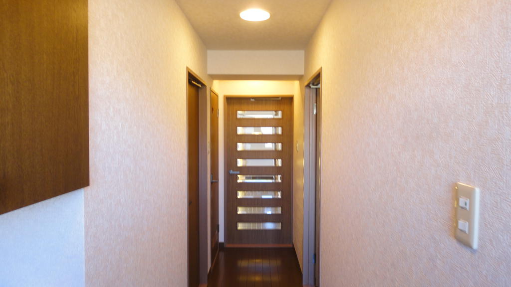Entrance. The view from the front door