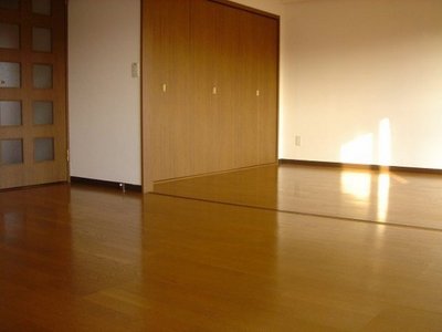 Living and room. Flooring of living