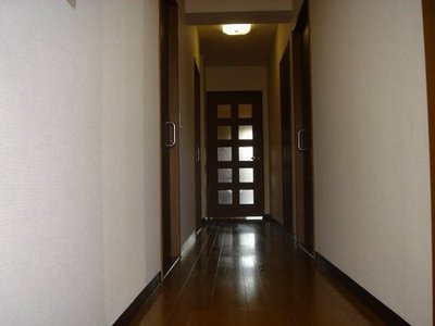 Entrance. Entrance of the flat type