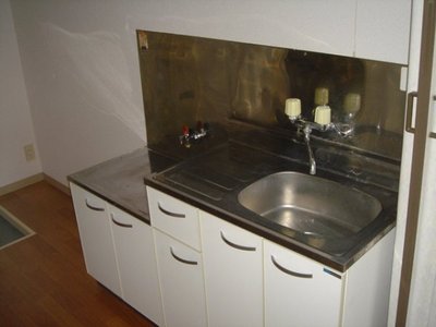 Kitchen. Two-burner gas stove can be installed