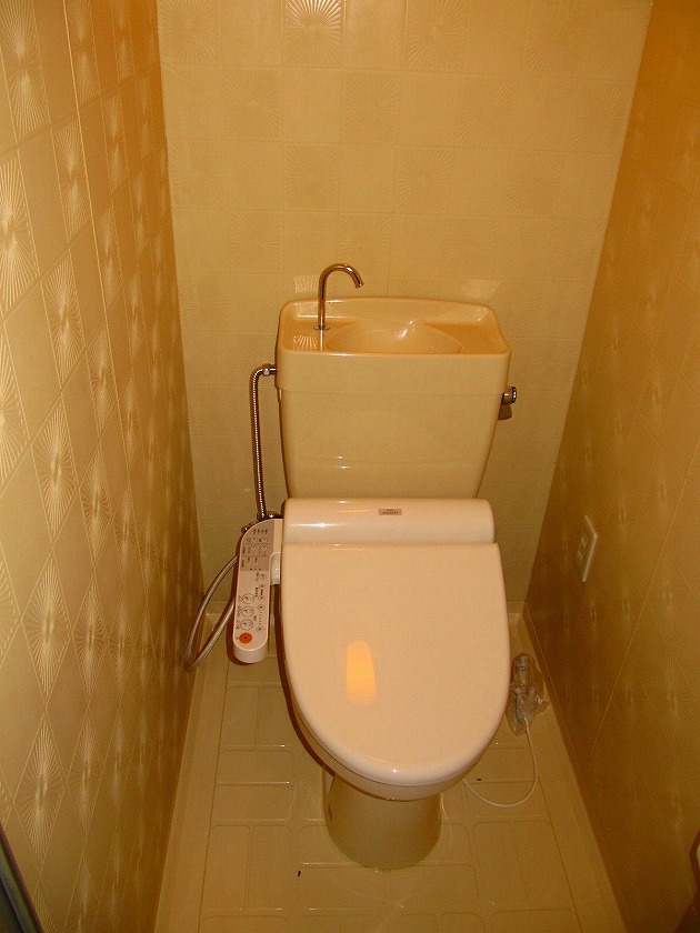 Toilet. Guests can relax even in the toilet