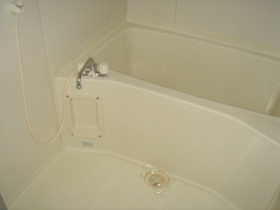 Bath. Please loosen the fatigue of a day in the bathroom.