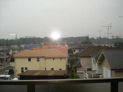 Other. 3F landscape