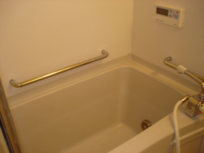 Bath. Add cooked hot water supply bus! 