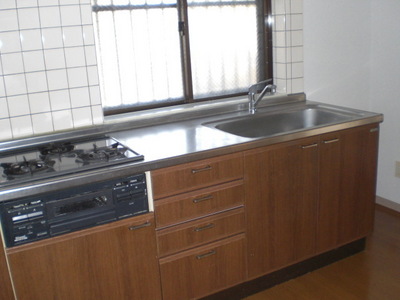 Kitchen. Gas stove with system Kitchen