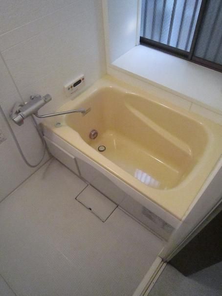 Other. Big bath tub is also have a window