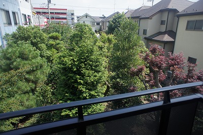 View. Leafy residential area