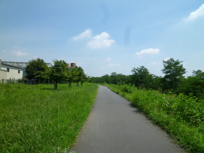 park. Tamagawa river until the (park) 100m