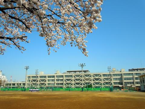 Junior high school. Akishima 230m to stand Showa junior high school