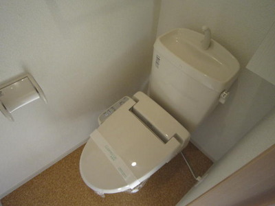 Toilet. Bidet equipped