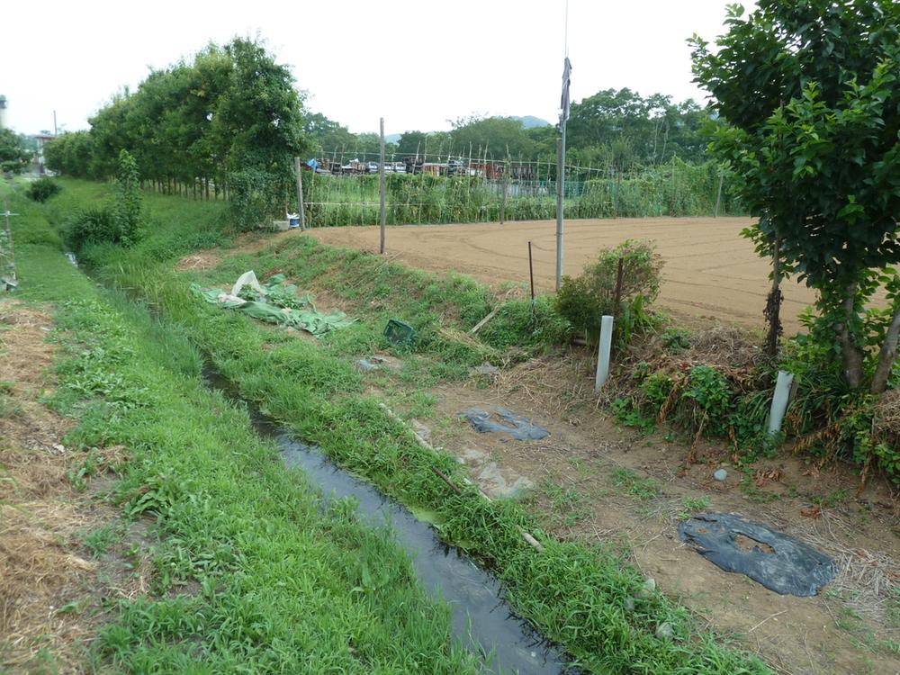 Other. Babbling brook is on the side of the residence