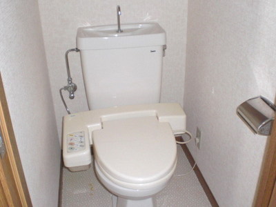 Toilet. Toilet