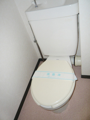 Toilet. Toilet