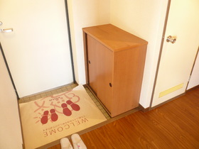 Entrance. There shoe box