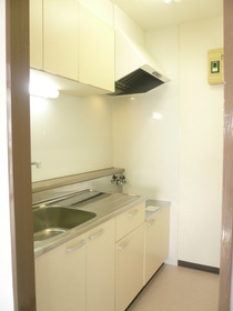 Kitchen. Two-burner gas stove installation Allowed