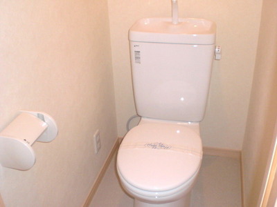 Toilet. Toilet