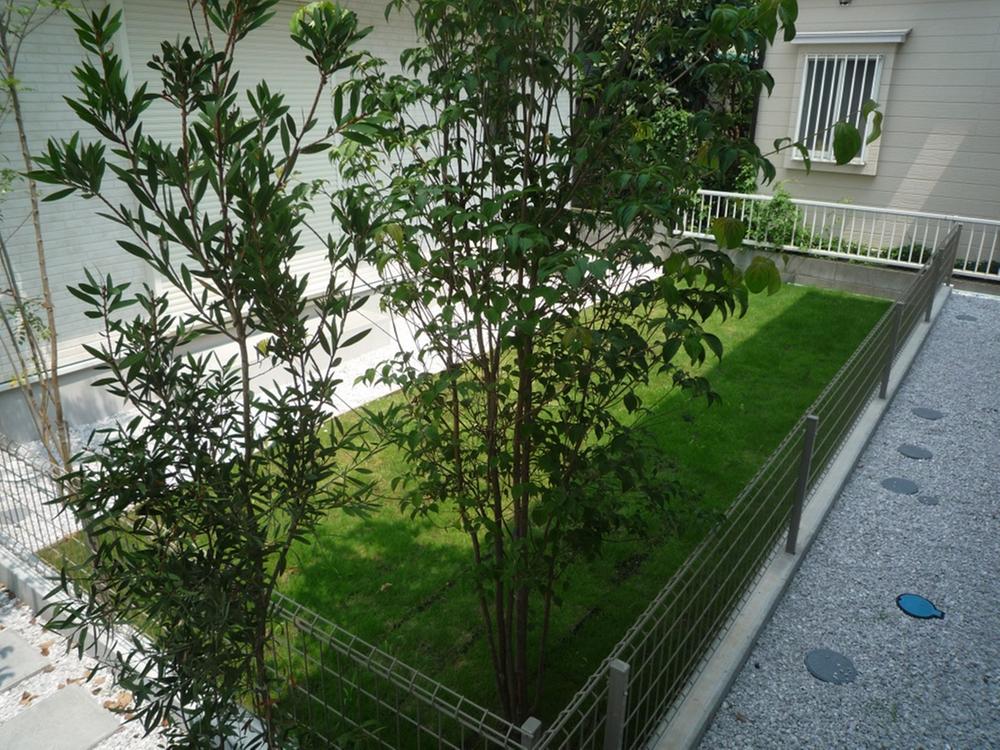 Garden. 3 Building site (August 12, 2013) Shooting It is good to grow your favorite flowers because some flower beds