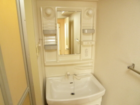 Washroom. Shampoo dresser