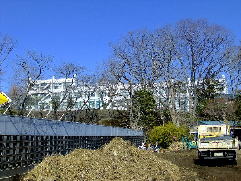 Primary school. Akishima Municipal Narutonari to elementary school (elementary school) 110m